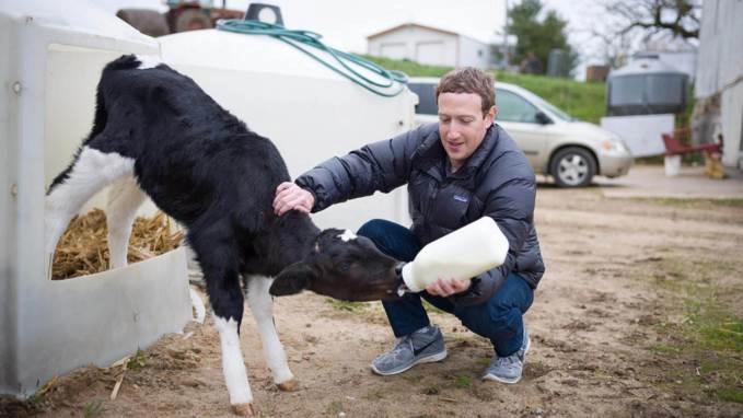 Có 72 tỷ đô ông chủ facebook - mark zuckerberg - tiêu tiền như thế nào - 17