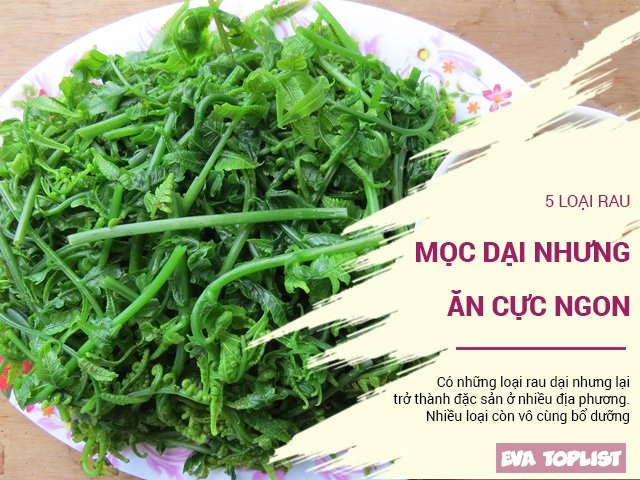 Điểm danh 5 quán phở hà nội từng được tạp chí nước ngoài khen nức nở - 1