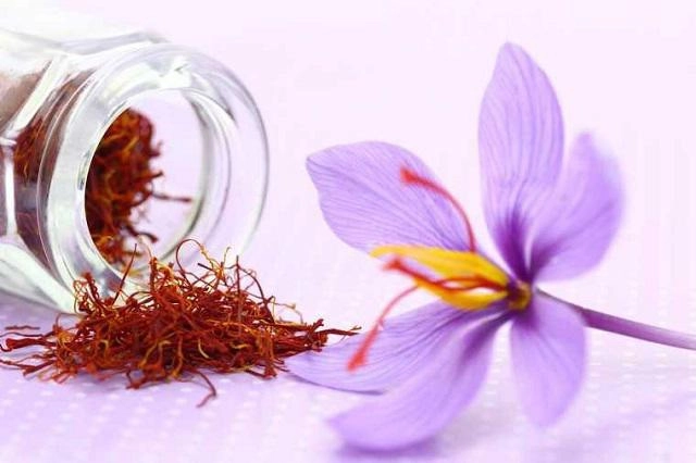 Đời không như mơ tưởng nhụy hoa nghệ tây là báu vật làm đẹp ai dè tiền mất tật mang - 1