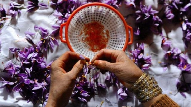 Đời không như mơ tưởng nhụy hoa nghệ tây là báu vật làm đẹp ai dè tiền mất tật mang - 4