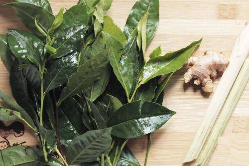 Dùng sửa rửa mặt chưa đủ bạn phải cho thêm thứ này vào nước rửa mới có làn da đẹp - 3