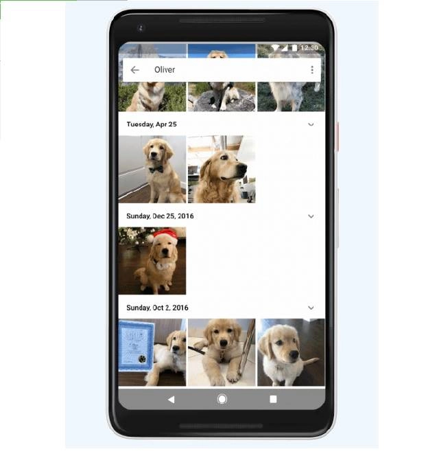 Google photos đã có thể nhận diện thú nuôi tìm kiếm theo giống nòi - 1