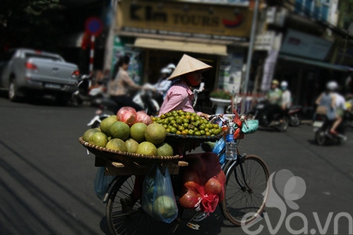 Hồng ngâm - quà ngon của mùa thu hà nội - 1