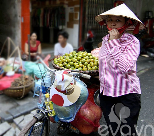 Hồng ngâm - quà ngon của mùa thu hà nội - 3