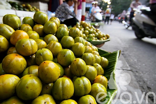 Hồng ngâm - quà ngon của mùa thu hà nội - 5