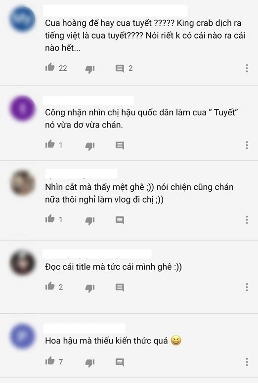 Khổ như phạm hương làm món ăn sang chảnh lại bị chê dốt tiếng anh mất vệ sinh - 11