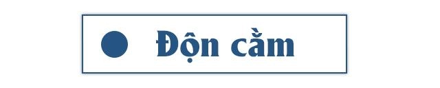 Không muốn hối hận sau chỉnh sửa vùng cằm chị em nhất định phải biết điều này - 4
