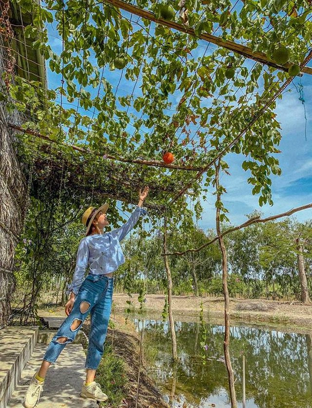Không phải cằm xuyên thủng vạn vật khuôn miệng đỏ rực khó hiểu của minh hằng mới gây chú ý - 10