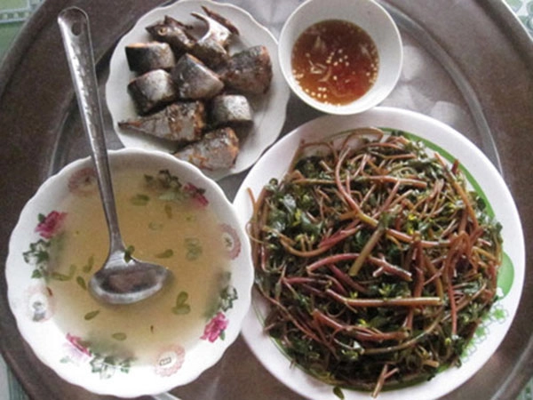 Loại rau trường thọ thế giới săn lùng nhưng mọc đầy ở việt nam ai cũng nên ăn một lần - 1