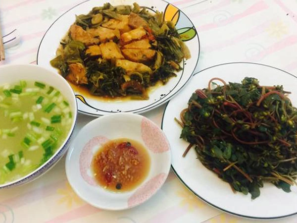 Loại rau trường thọ thế giới săn lùng nhưng mọc đầy ở việt nam ai cũng nên ăn một lần - 7