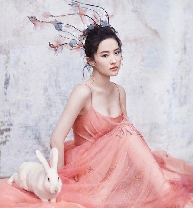Lưu diệc phi có khí chất thần tiên nhờ bí quyết ở dơ không tắm gội chỉ dùng phấn thơm - 13