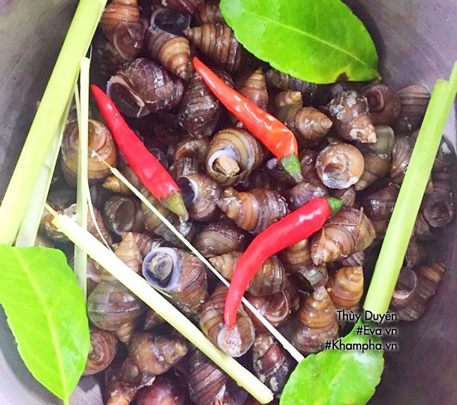 Mát trời cả nhà sì sụp đĩa ốc luộc ăn kèm bún chấm đậm đà dân dã - 2