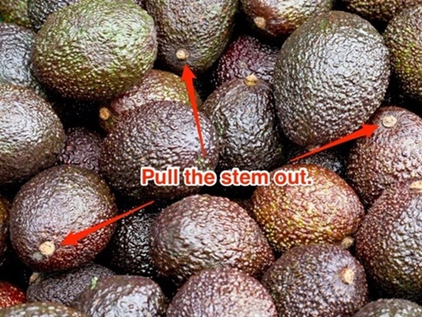 Mẹo bảo quản và sử dụng quả bơ hữu ích nhất mà bạn cần biết - 4
