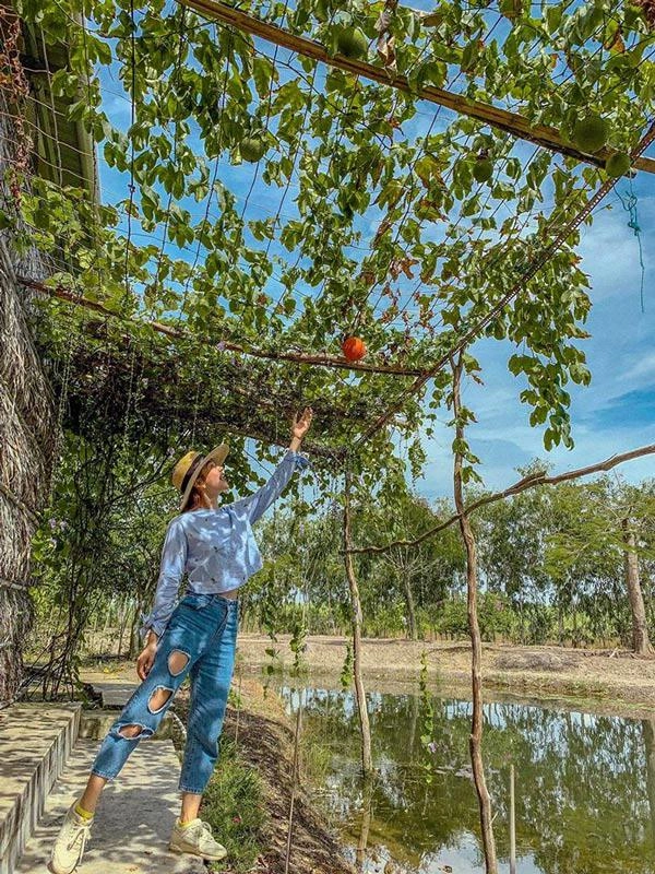 Minh hằng diện lại quần đục lỗ lạ kỳ từ hơn năm trước - 3