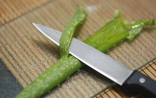 Mỗi sáng ăn 1 thìa nha đam da cứ thế căng bóng trắng hồng như gái 18 - 3