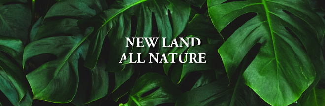 Newland all nature khi thiên nhiên là nguồn cội của mọi vẻ đẹp - 1
