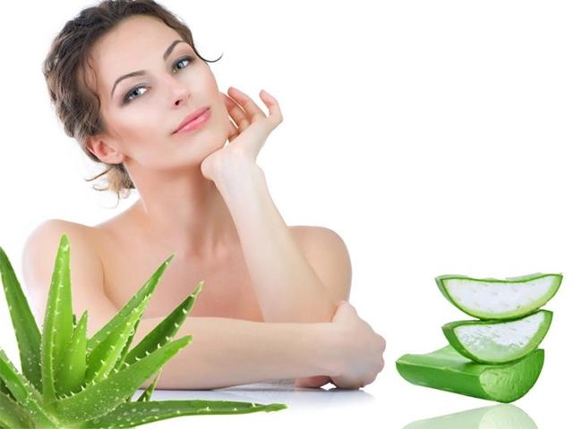 Nha đam và những tác dụng thần kỳ với làm đẹp và sức khỏe - 1