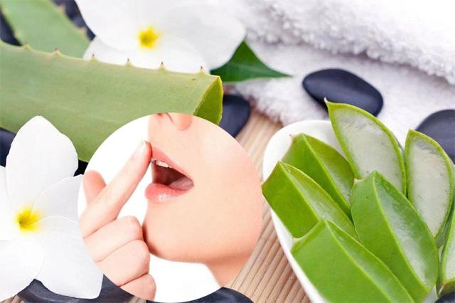 Nha đam và những tác dụng thần kỳ với làm đẹp và sức khỏe - 4