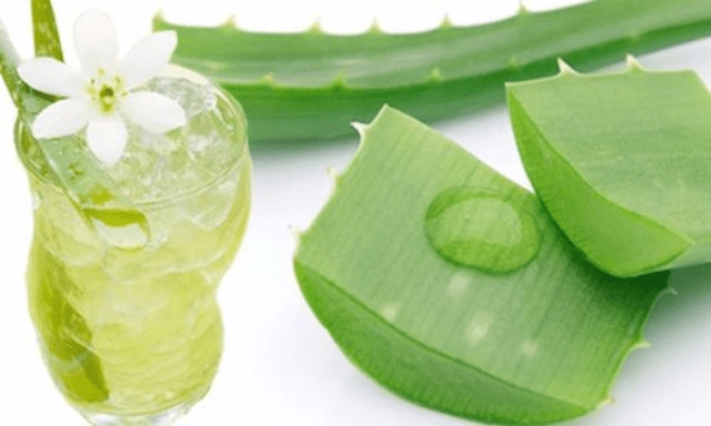 Nha đam và những tác dụng thần kỳ với làm đẹp và sức khỏe - 6