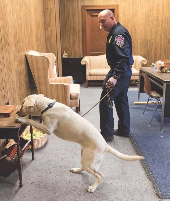 Những chú chó này được huấn luyện để tìm ra mùi của tội phạm công nghệ - 2