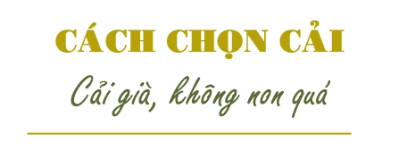 Những mẹo cực hay giữ cho dưa cải muối chua luôn vàng giòn không bị khú - 3