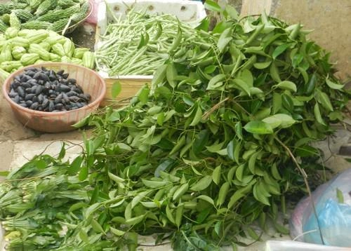 Những món rau rừng đỉnh nhất ăn là nghiện của vùng tây bắc - 3