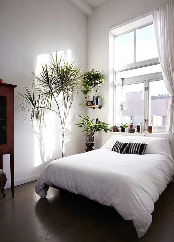 Phòng ngủ nổi bật cho nhà phố hẹp nhờ biến tấu cổ điển và cây xanh - 8