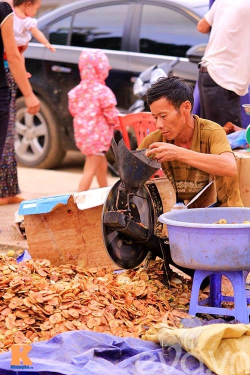 sành ăn táo mèo hãy chọn quả có sâu - 7