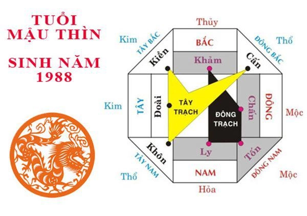 Sinh năm 1988 mệnh gì hợp nhà màu gì để cuộc đời nở hoa - 3