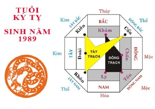 Sinh năm 1989 mệnh gì xây nhà hướng nào để túi tiền tuổi kỷ tỵ lúc nào cũng rủng rỉnh - 2