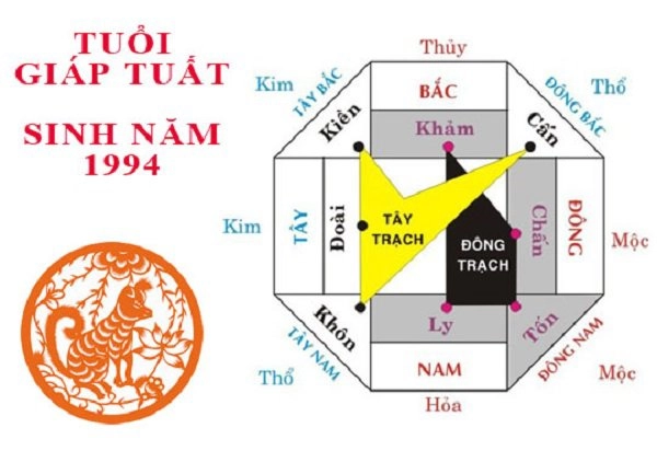 Sinh năm 1994 mệnh gì tuổi giáp tuất xây nhà hướng nào sẽ đại cát đại lợi - 3