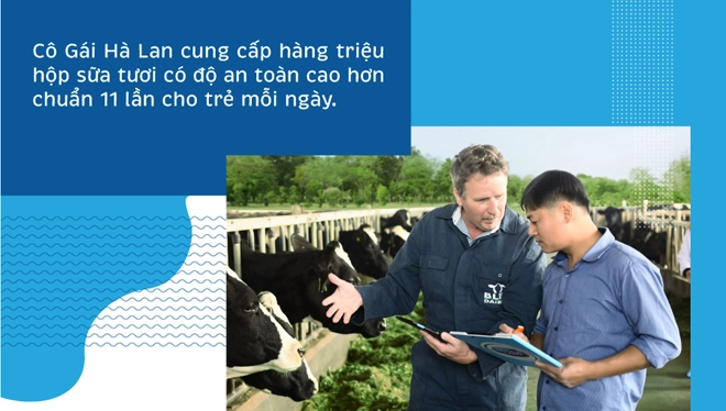 Sữa tươi cô gái hà lan tinh hoa từ sự hợp tác của nông dân hà lan và việt nam - 1