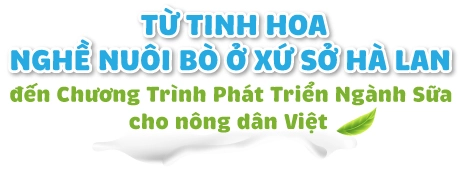 Sữa tươi cô gái hà lan tinh hoa từ sự hợp tác của nông dân hà lan và việt nam - 2