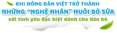 Sữa tươi cô gái hà lan tinh hoa từ sự hợp tác của nông dân hà lan và việt nam - 4