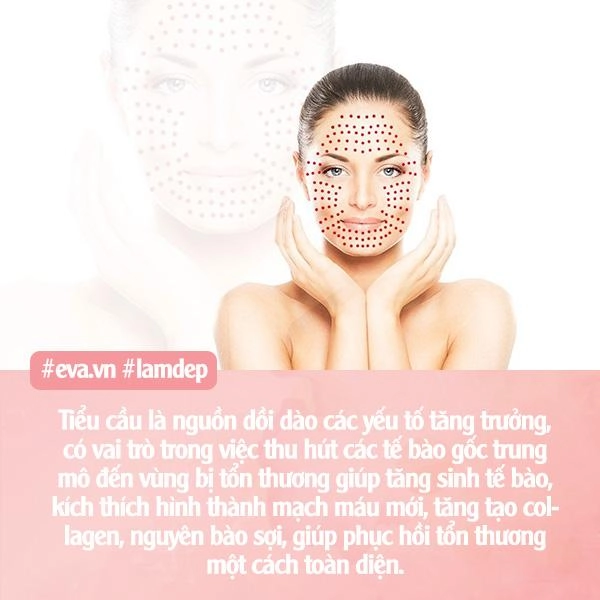 Sững người trước kết quả dương tính với hiv sau thẩm mỹ đã có 1 trường hợp tại việt nam - 7