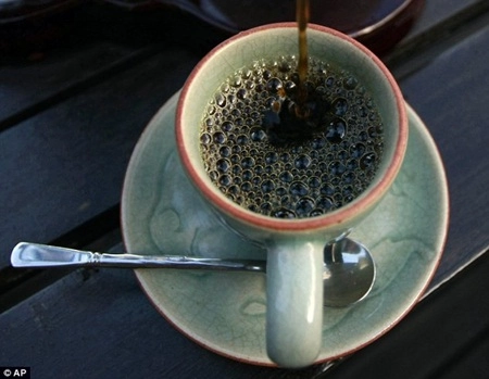 Thưởng thức cà phê voi giá hàng triệu đồng - 1