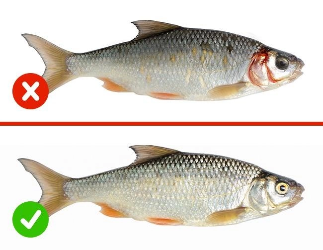 Trời lạnh thích ăn cá kho mà quên 4 mẹo này thì cá tanh không nuốt nổi - 1