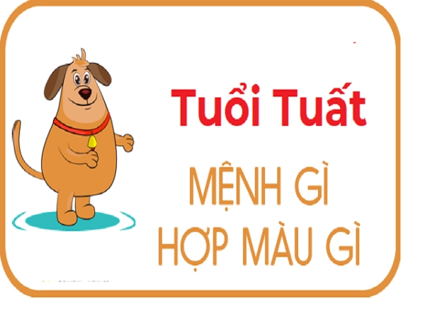 Tuổi tuất hợp màu gì chọn đúng những màu này sẽ giúp người tuổi tuất xóa bỏ vận xui - 1