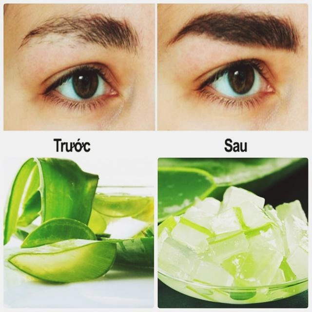 Tuyệt chiêu biến lông mày lưa thưa thành rậm đen không cần thêu xăm vừa đau vừa tốn tiền - 5