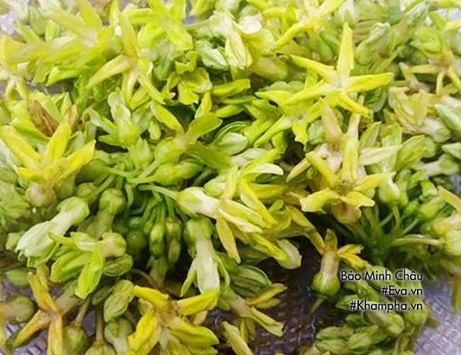 Vợ làm canh bông thiên lý nấu tôm chồng khen nức nở tài vào bếp - 3