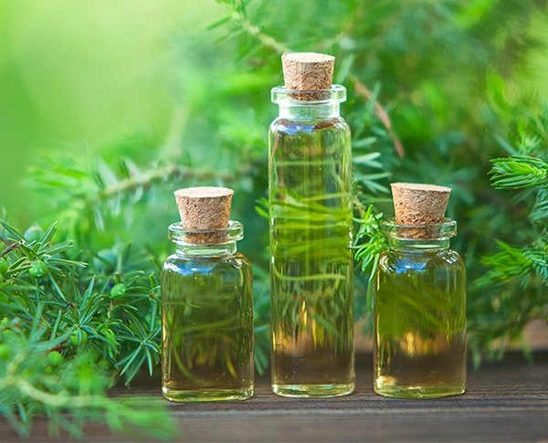 Bí kíp chăm sóc chuẩn spa tại nhà giúp nàng cải thiện làn da dầu mụn lão hóa khô ráp - 4
