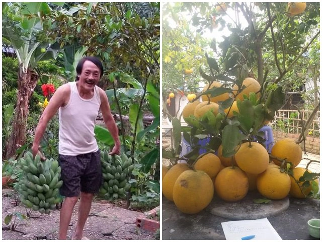 Ông xã đại gia tặng biệt thự 200m2 nghệ sĩ kim chi tự trồng rau ăn 5 bữa không hết - 15