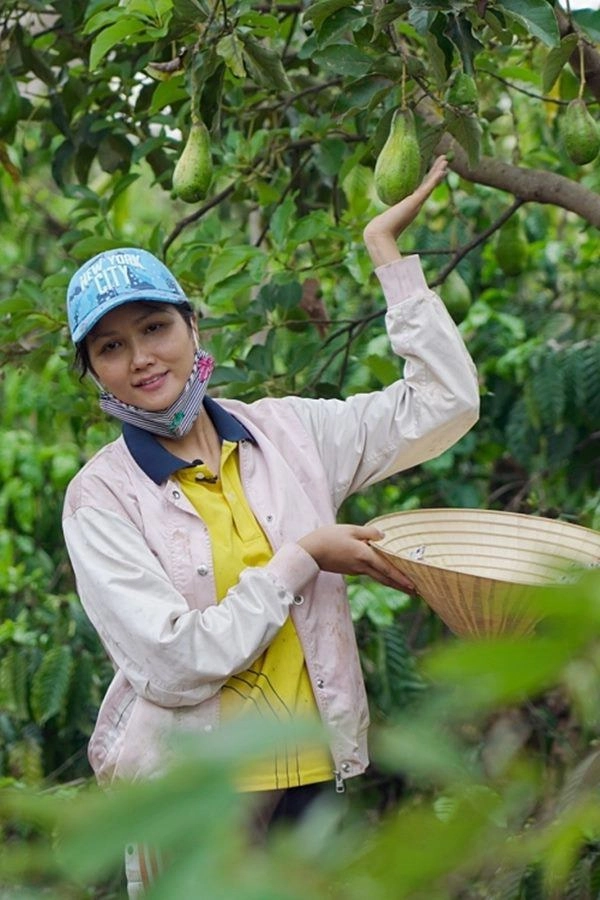 Hhen niê lên rẫy thu hoạch rau trái từ cà pháo tới loại quả tuổi thơ ít người nhớ - 9