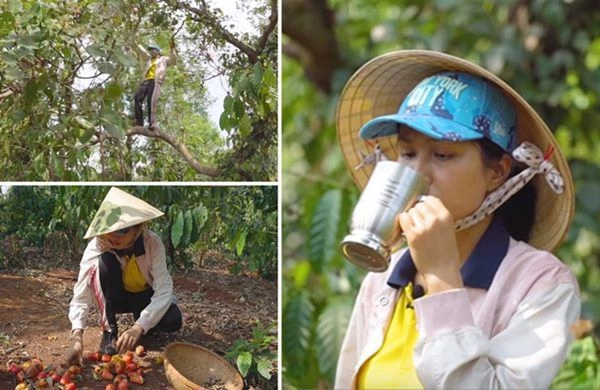 Hhen niê lên rẫy thu hoạch rau trái từ cà pháo tới loại quả tuổi thơ ít người nhớ - 10