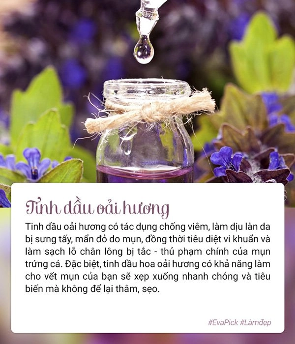 6 nguyên liệu giúp mụn chỉ sau một đêm đã lặn mất tăm nàng cứ thử sẽ biết ngay - 4