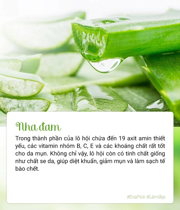 6 nguyên liệu giúp mụn chỉ sau một đêm đã lặn mất tăm nàng cứ thử sẽ biết ngay - 5