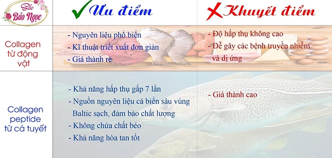 Sắc bảo ngọc và sứ mệnh giúp phụ nữ việt lấy lại làn da trắng đẹp rạng ngời - 2