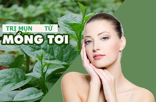 10 cách trị mụn đầu đen ở mũi má trán an toàn hiệu quả nhanh nhất - 9