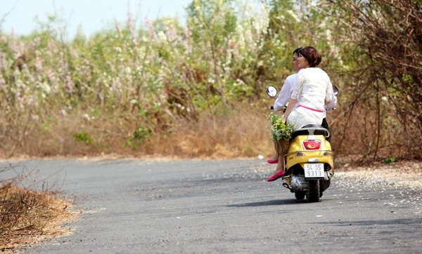 3 mùa hoa đẹp trong tháng 1 khiến bạn chỉ muốn lạc trôi khỏi thành phố - 15