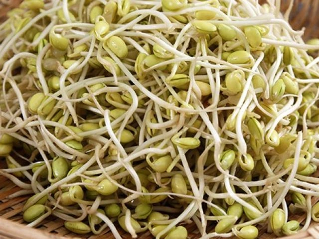 8x mách cách làm giá đỗ bằng cát mập ú ụ sạch bong chỉ tưới nước 1 lần rồi thôi - 11